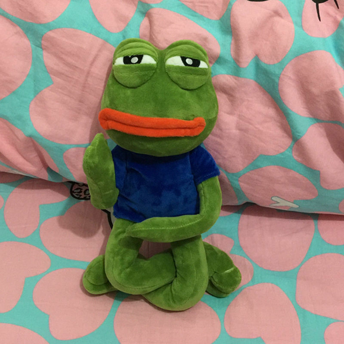 Sad Frog Plush Toy