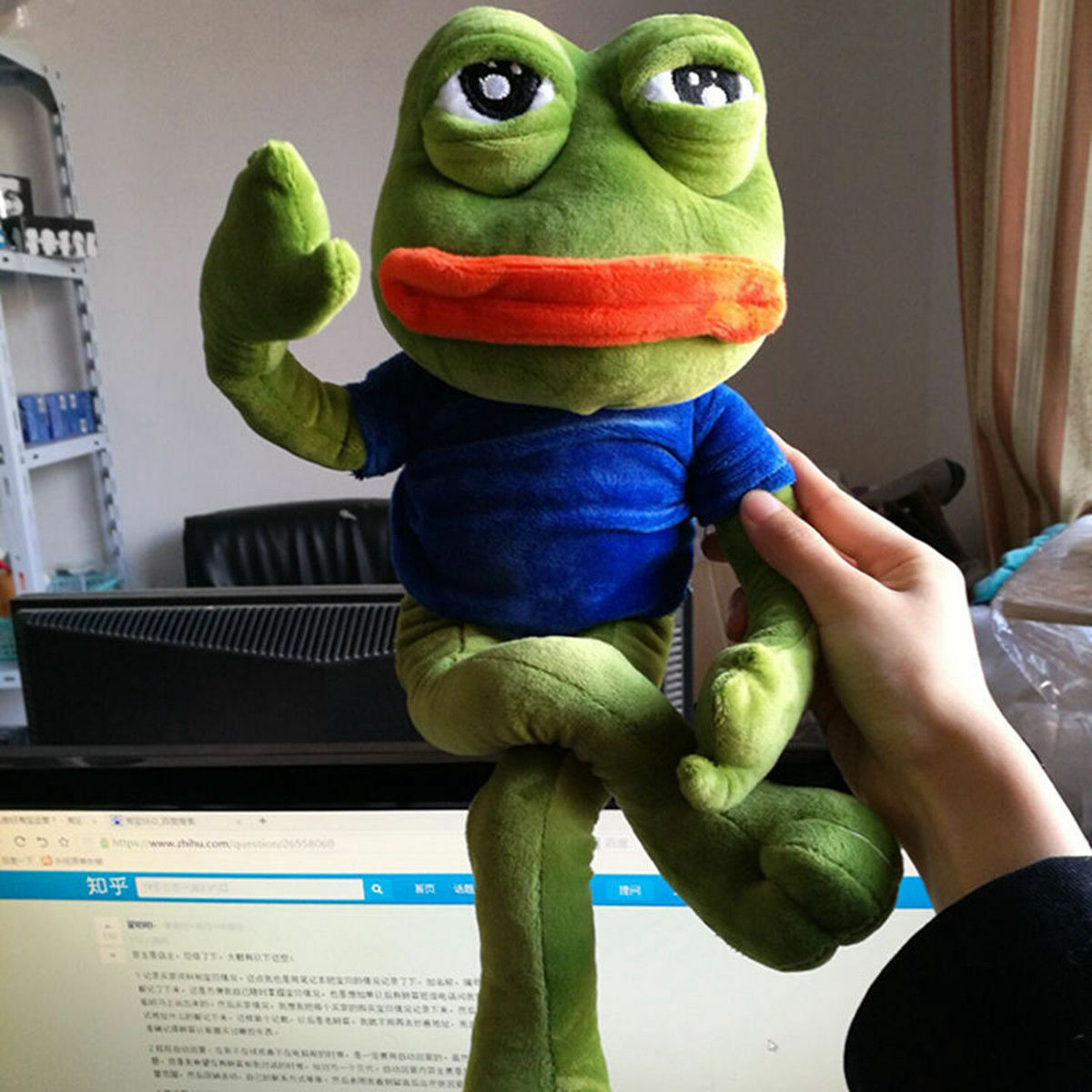 Sad Frog Plush Toy