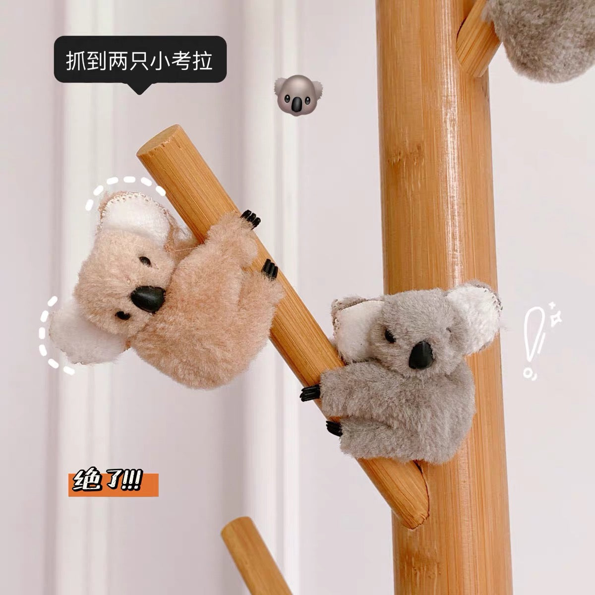 Koala Hair Clips