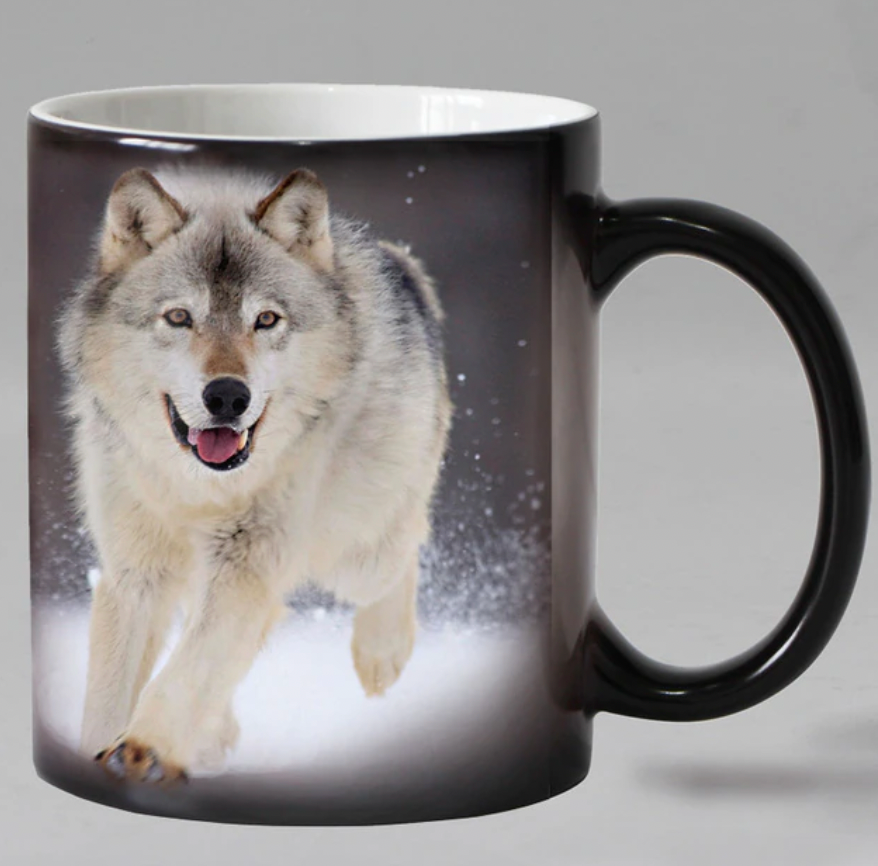 Thermal Retro Mug