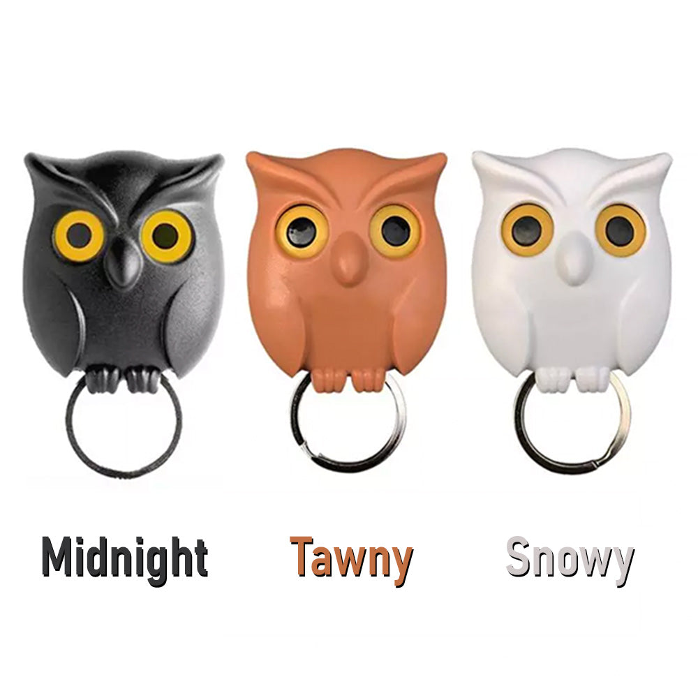 Owl Key Holder