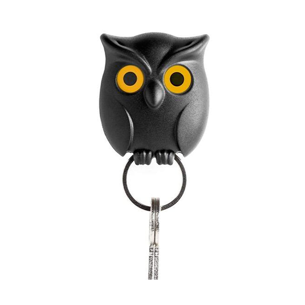 Owl Key Holder