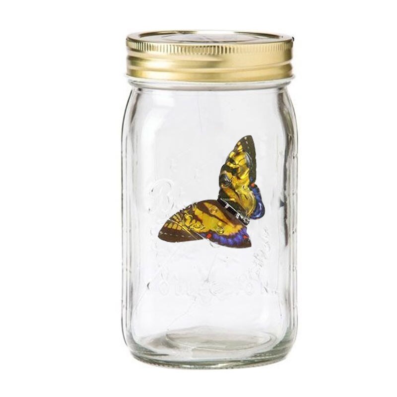 Butterfly in a Jar 🦋