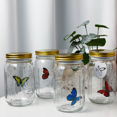 Butterfly in a Jar 🦋