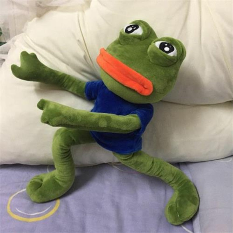 Sad Frog Plush Toy