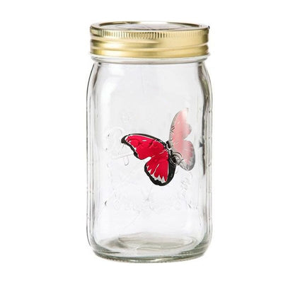 Butterfly in a Jar 🦋