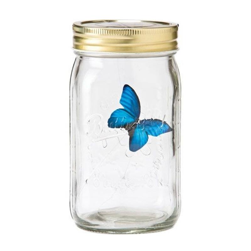 Butterfly in a Jar 🦋