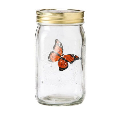 Butterfly in a Jar 🦋